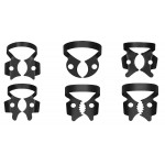 Clema diga neagra, Black coated, Molar inferior